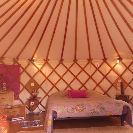 Les Yourtes D'Hotes Plouguiel Luaran gambar